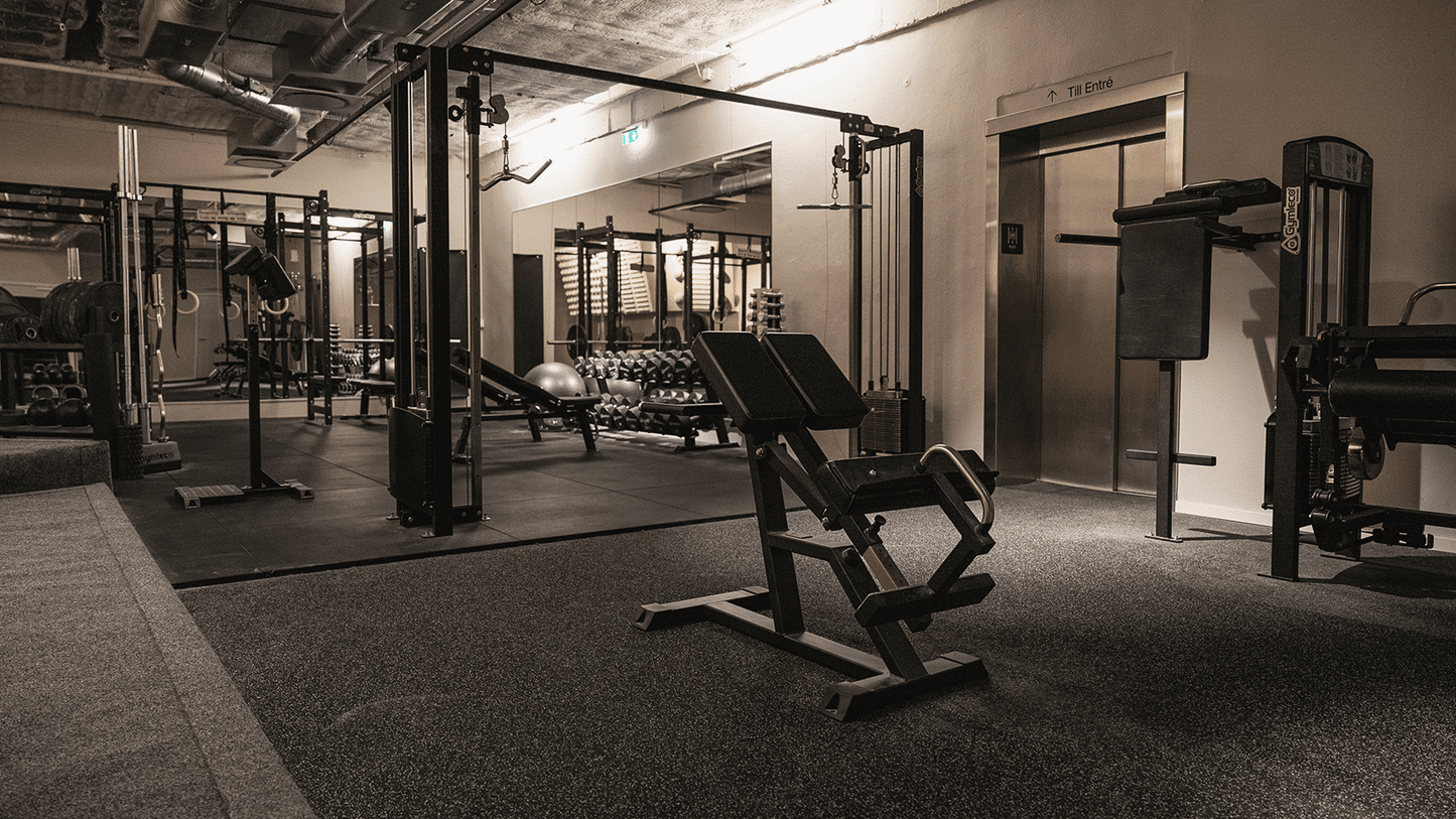 Back Raise, Adjustable (45-90 degrees)