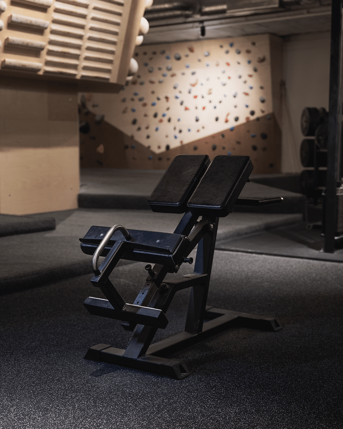 Back Raise, Adjustable (45-90 degrees)