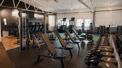 Adjustable Gym Bench