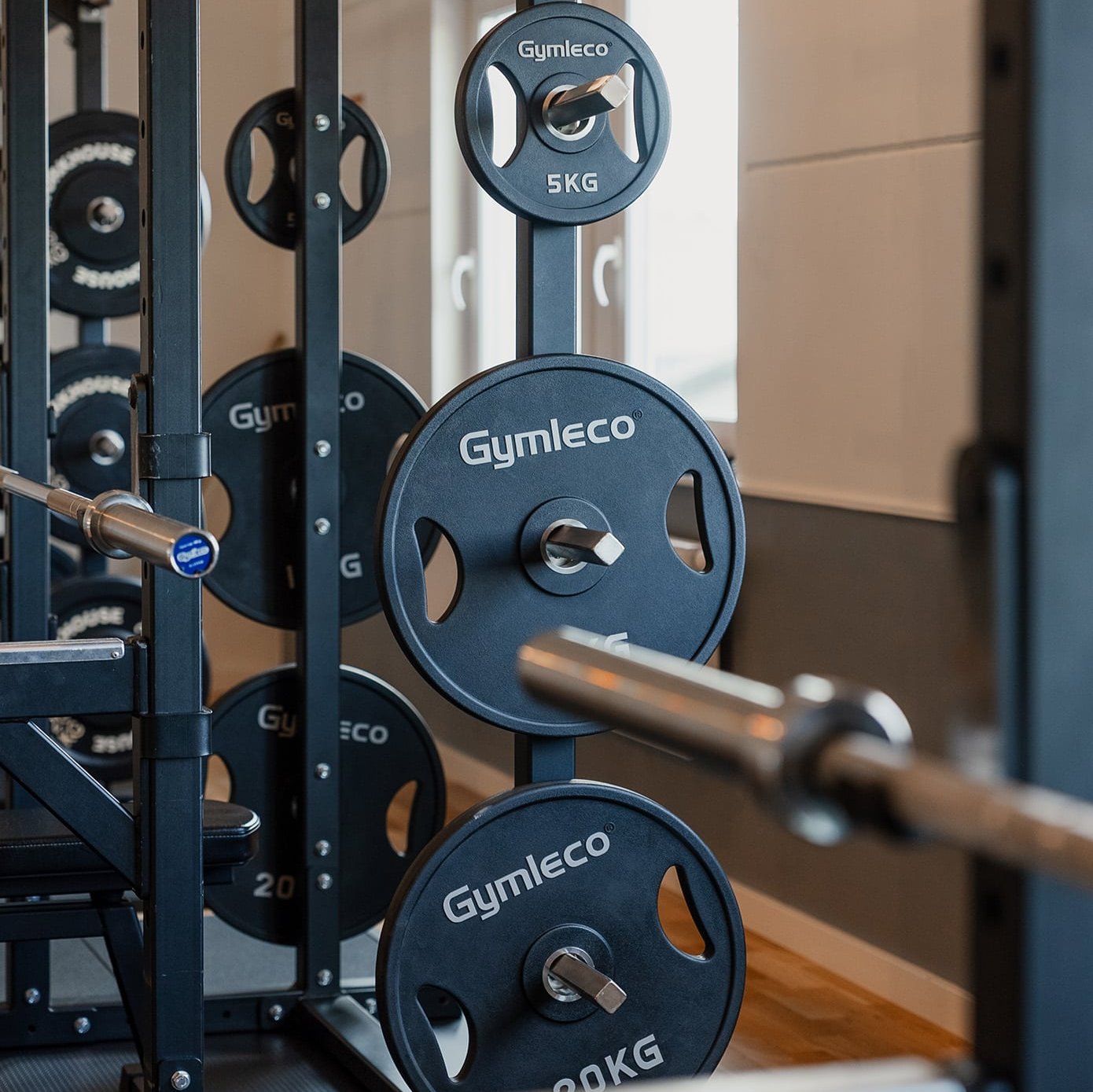 black weight plates - svart viktskivor