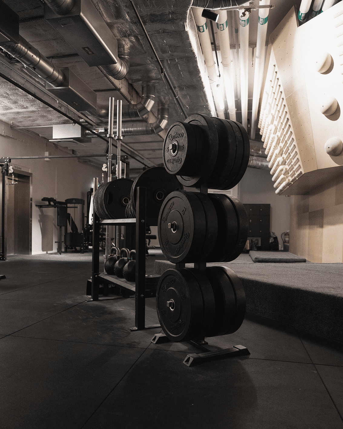 Bumper Plate, Slam Ball Rack