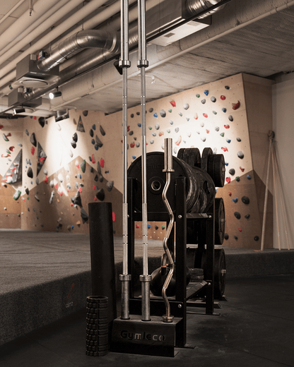 Bumper Plate, Slam Ball Rack