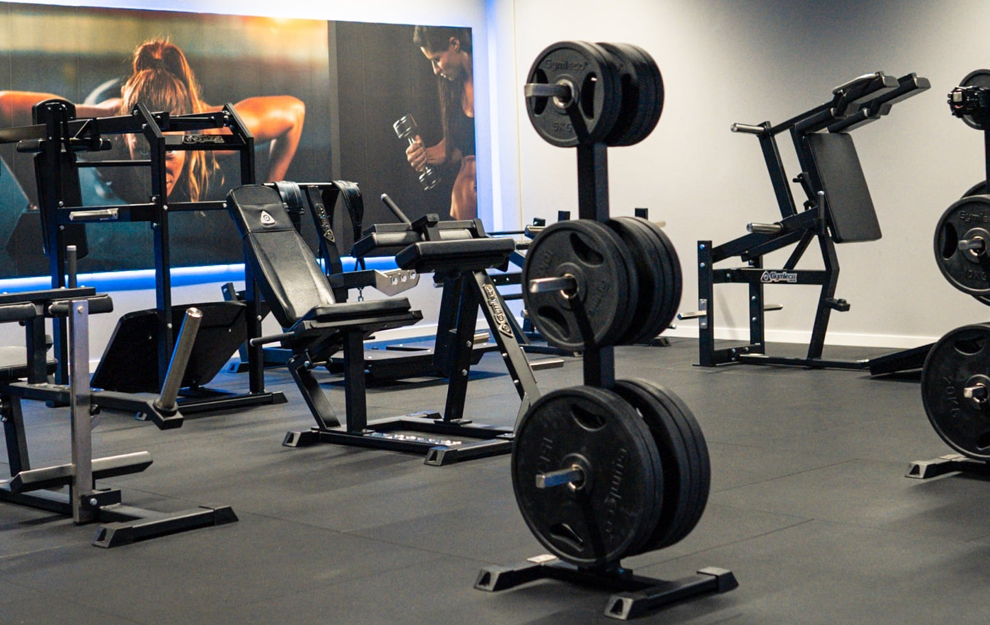 041 Leg Curl, Seated