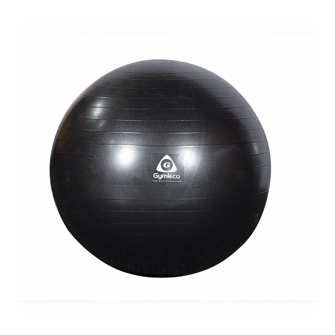 Gymnastic Ball